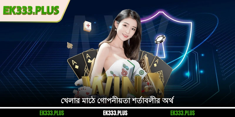 খেলার মাঠে গোপনীয়তা শর্তাবলীর অর্থ