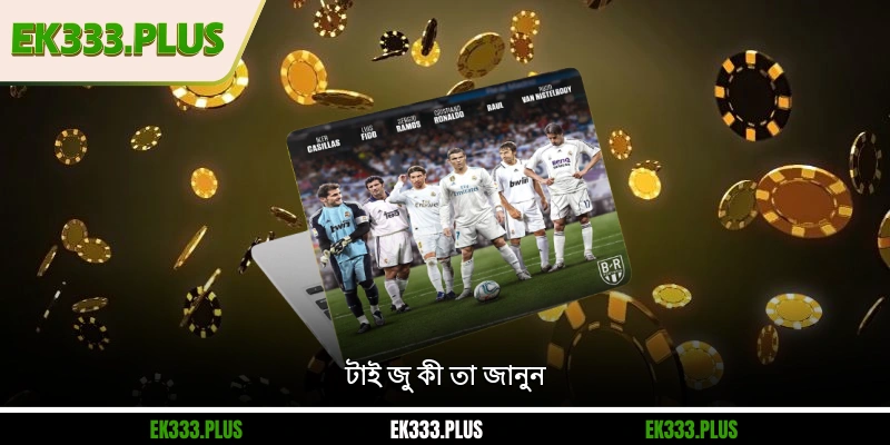 টাই জু কী? সঠিকভাবে বাজি ধরার কৌশল আবিষ্কার করুন 1 টাই জু কী তা জানুন